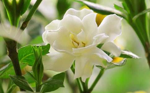 �d�ӻ��_�ļ�������600��