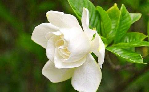 �d�ӻ��_�ļ�����������