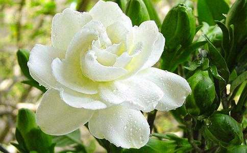 �d�ӻ���ζ��800������