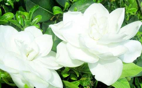 �茑�d�ӻ�����