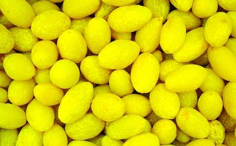 ��Ҳ��^һö���ϙ�����950��