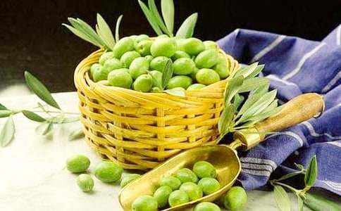 那一片橄欖綠作文600字