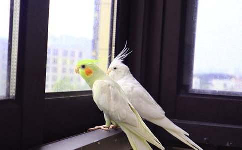 �W�^�~����400��5ƪ