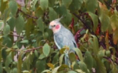 �W�^�~���ąR����ƪ