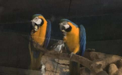 ���x�W�^�~����9ƪ