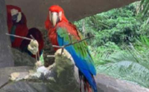 ���P�W�^�~���ģ����x35ƪ��