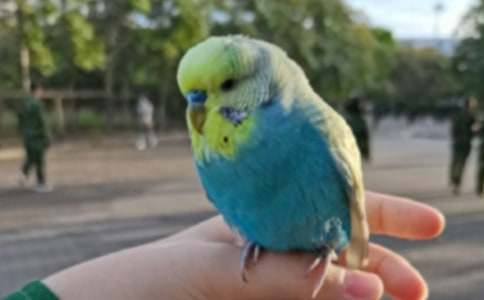 �P���W�^�~���ĺϼ���ƪ