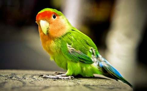 ���P�W�^�~����ʮƪ