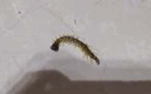 ������u��-ͯԒ����800��