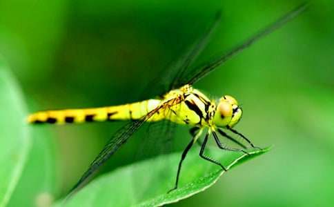 �t���ѵĸ��~