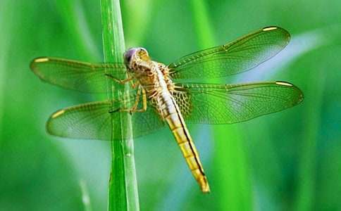 ���o����С�W������300��