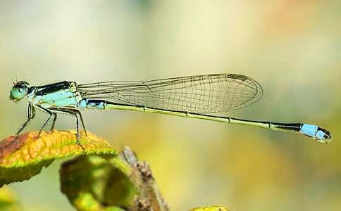 �^���������ģ����x22ƪ��