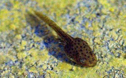 С����ҋ�������15ƪ