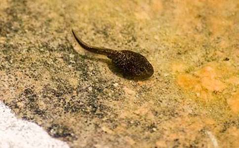 �������е����ģ����x26ƪ��