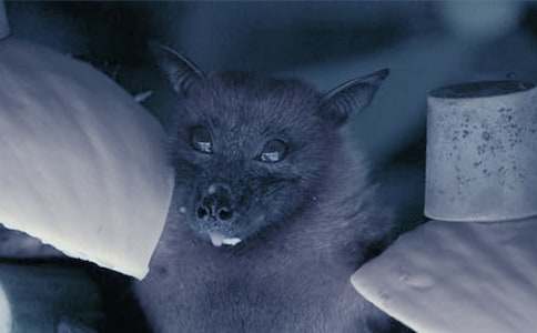 ���x��������300����ƪ