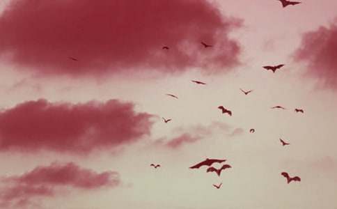 ���������С�W������