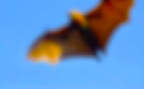 ��������600��9ƪ