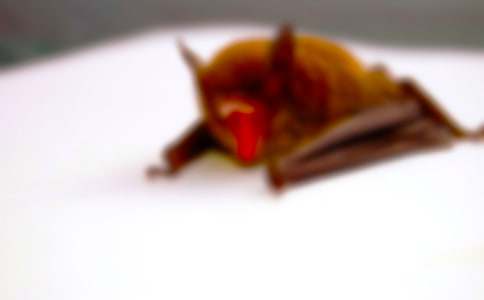 �¸ҵ��Ҵ����������