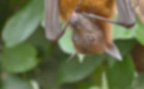 �����С�W����500��