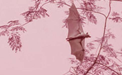 ���������x�������500��