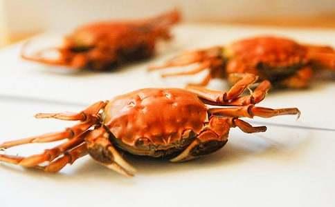 �P�ڳ��з������500�֣����x24ƪ��