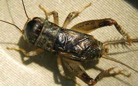 �^��������(ͨ��6ƪ)