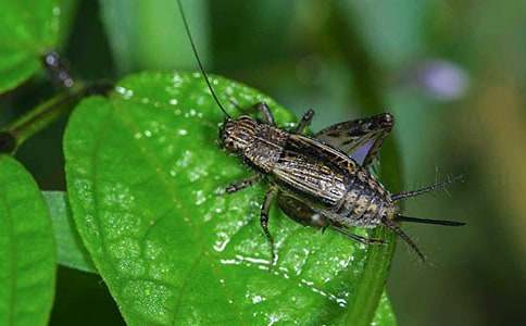 ��С�W����15ƪ