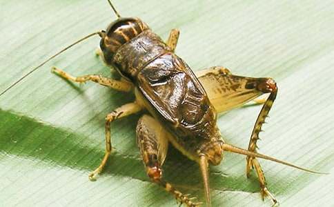 �ҵ�С������300��