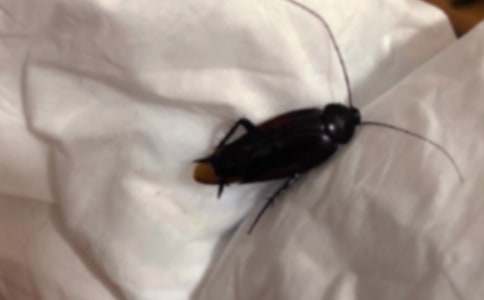 �������400����ƪ