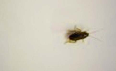 �c���ěQ��������