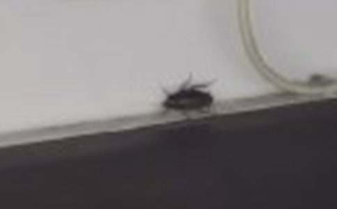 ����������500��