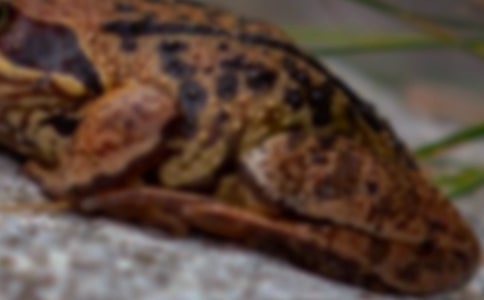 �Ұl�F����ܵĺ�̎���꼉����