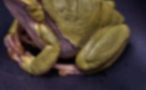 踩到死蟾蜍引發的思考作文