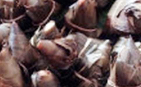 ���ӵ�ӛ����������