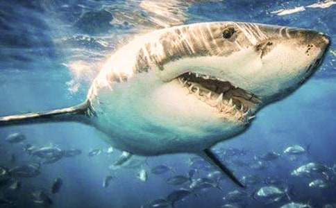 �P�����~������400�֣�ͨ��43ƪ��