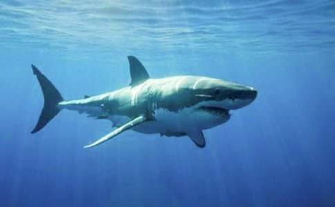 ���o���~�W�����ľ��x