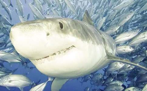 ���P���~����8ƪ