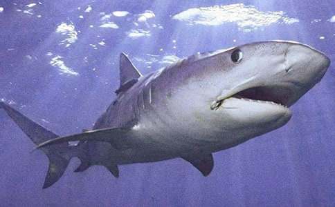 ���̰�����Ц�����~��