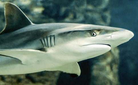 ���~���ĺϼ�6ƪ