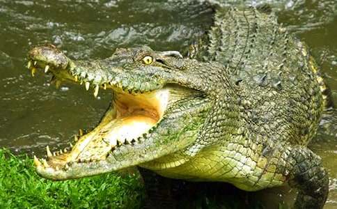 �ɐ���Ȥ��ͯԒ���£�С������{�~�Ƕ�