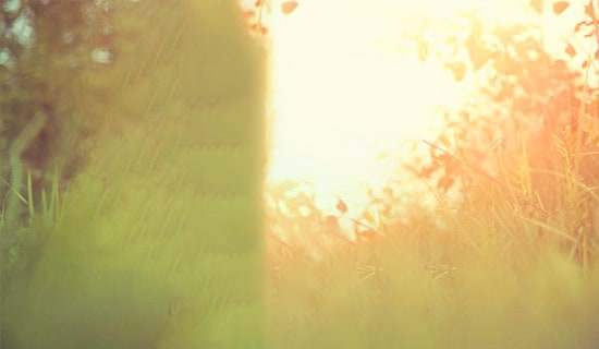 Ψ���Ľ���Ӣ�Ķ��Z�̾䣨���x135�䣩