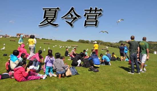 ����I�옷����������500��