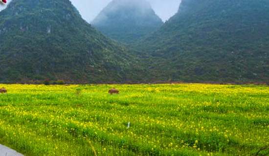 ���ξG���@���ģ����x44ƪ��