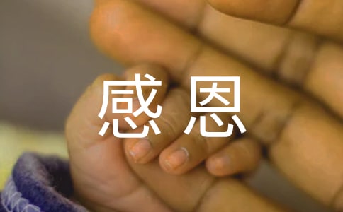 精選感恩的父母作文10篇