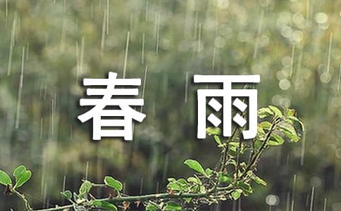 春雨優秀作文(15篇)