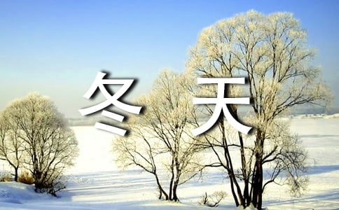 冬天的旋律作文