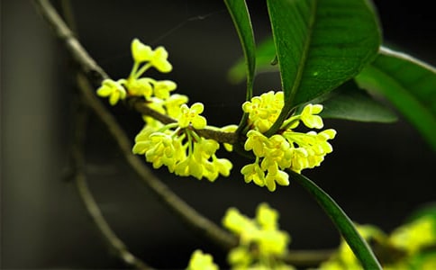 �𻨘�����(ͨ��15ƪ)
