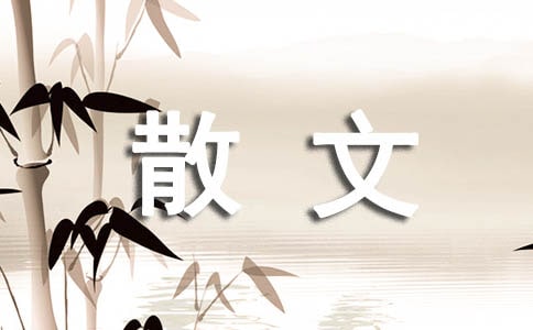 關于散文的作文合集十篇