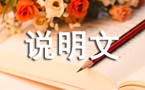 關于說明文的作文匯總九篇