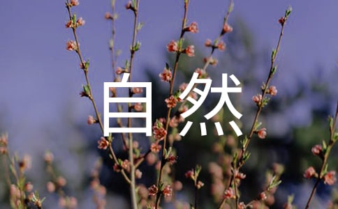 【精品】寫的大自然的作文300字四篇